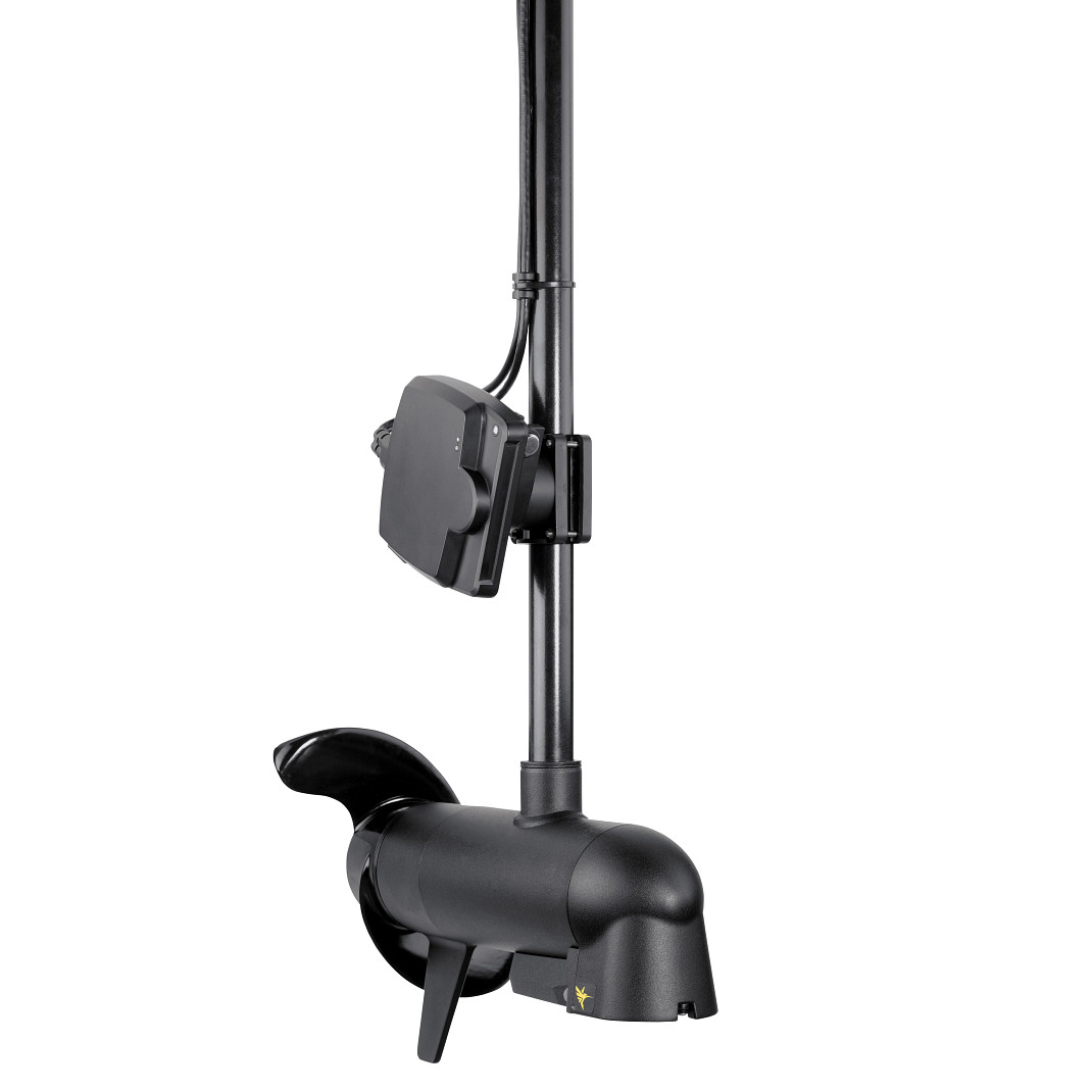 MEGA Live Imaging Transducer - Image 2