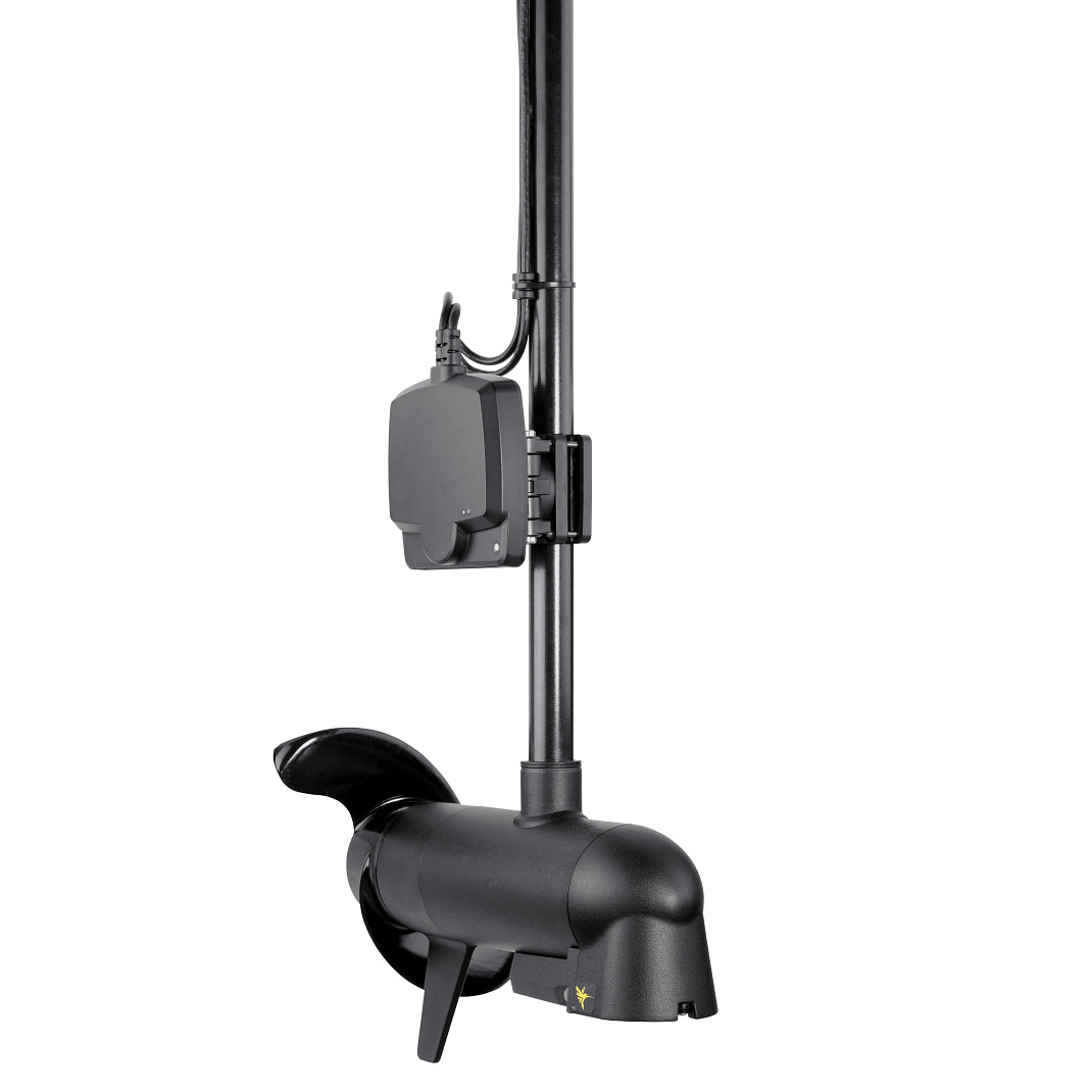 MEGA Live Imaging Transducer - Image 3