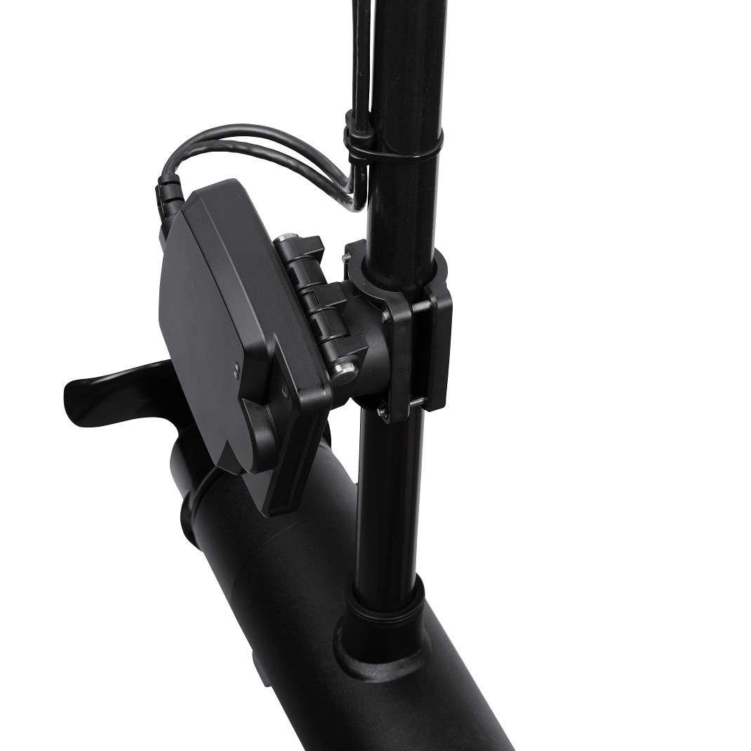 MEGA Live Imaging Transducer - Image 5