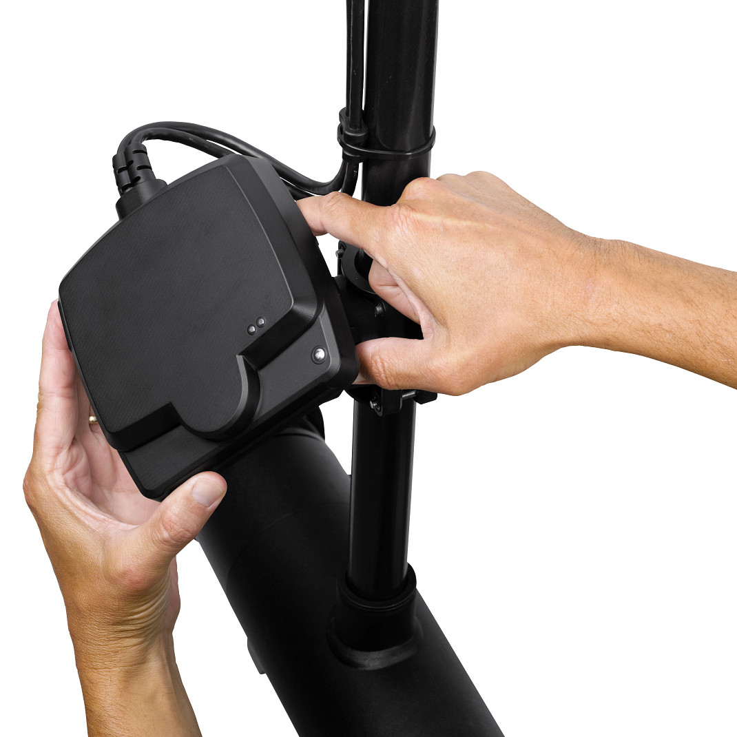 MEGA Live Imaging Transducer - Image 6