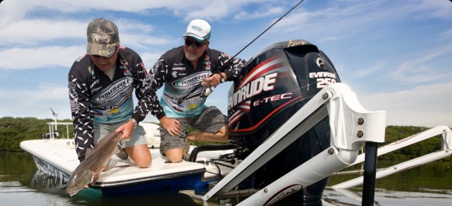 Pro Series II Shallow Water Anchor 8 Foot