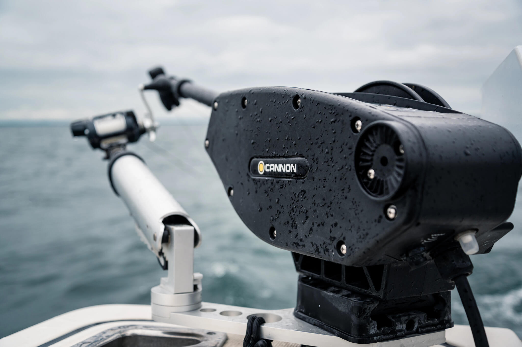 cannon downrigger close up