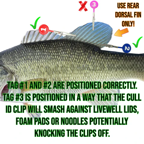 Cull ID Tags