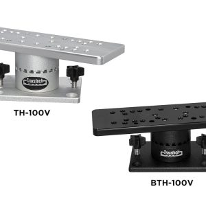 Low Profile Electronics Mount
