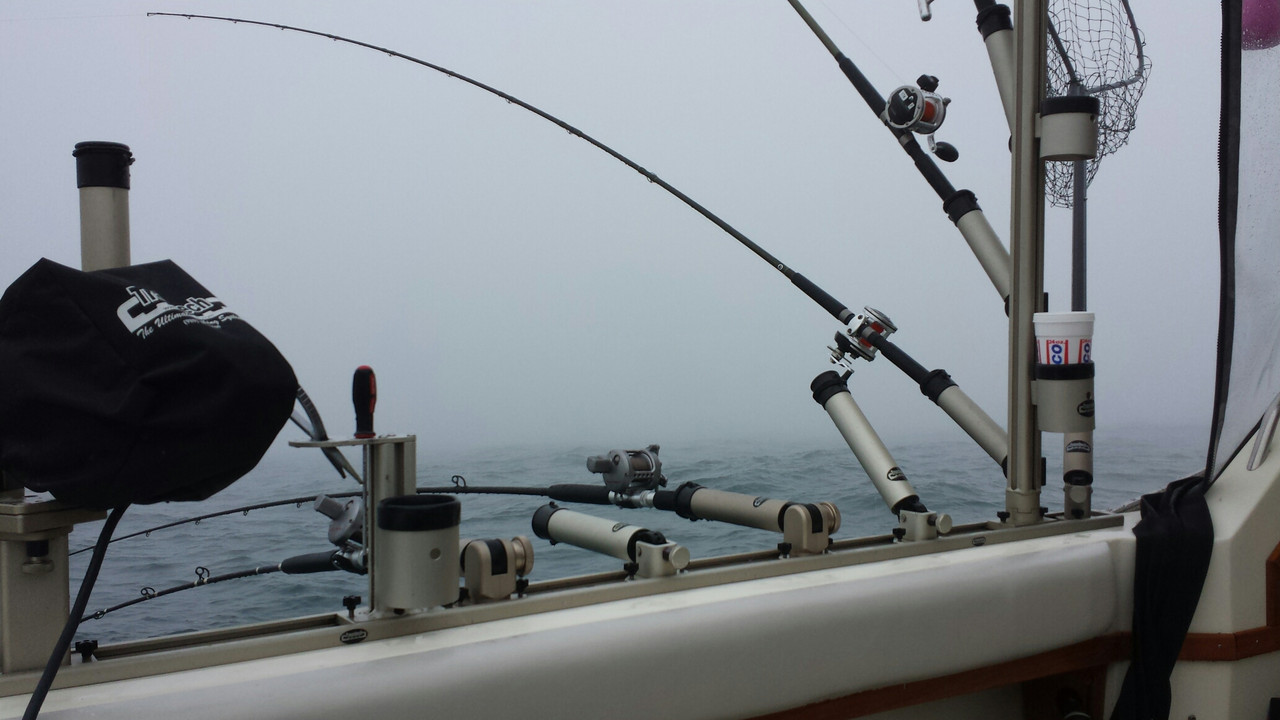 Aluminum Adjustable Rod Holder - Image 6